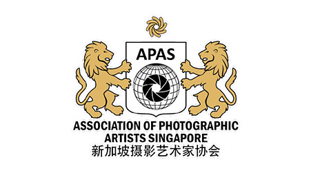 Golden Tiger Photo Circuit
