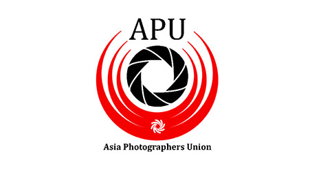 Golden Tiger Photo Circuit