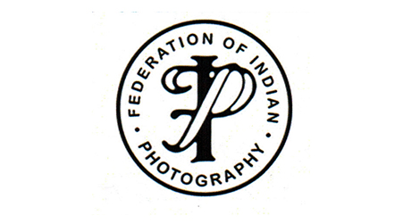 Golden Tiger Photo Circuit